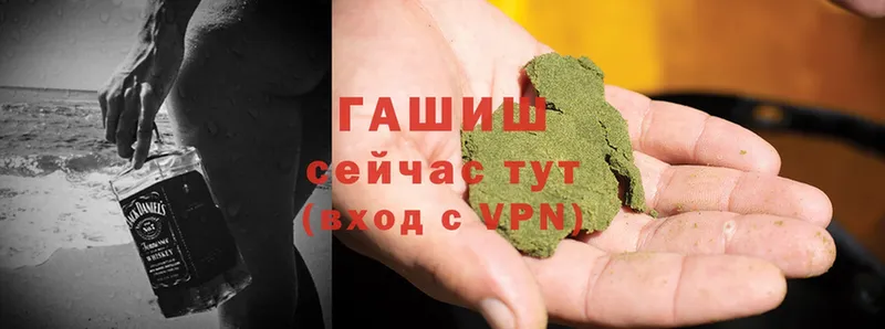 что такое   Куровское  Гашиш Cannabis 